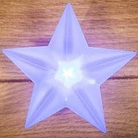 Фото фигура светодиодная "звезда" rgb на присоске 9х9см neon-night 501-035
