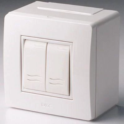 Фото коробка с выключателем 2-кл. 2мод. оп brava 10а ip20 pdd-n60 бел. dkc 10001 DKC