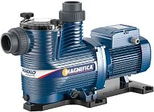 Фото поверхностный насос pedrollo magnifica 2m