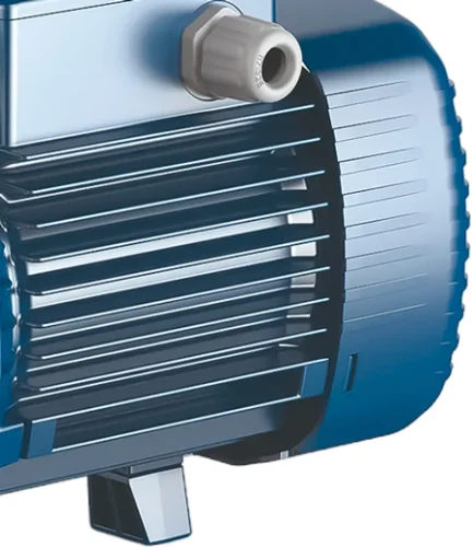 Фото поверхностный насос pedrollo future-jetm 2ah Pedrollo фото 2