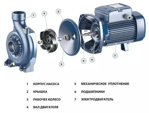 Фото поверхностный насос pedrollo ngam 2a Pedrollo фото 5