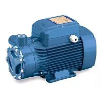 Фото поверхностный насос pedrollo pq 3000