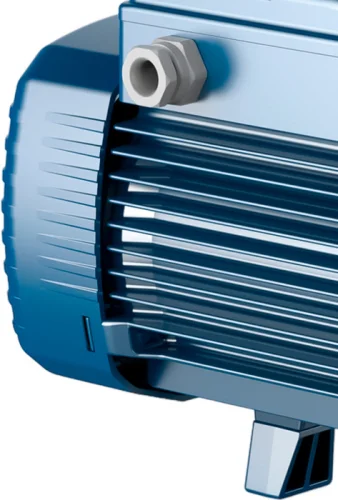 Фото поверхностный насос pedrollo future-jet 2a Pedrollo фото 2