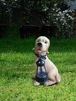 Фото светильник "собака" 31х29.2х11.4 тепл. бел. садовый на солнечн. батарее аккум. aa ni-mh 600мач космос koc_sol102_d