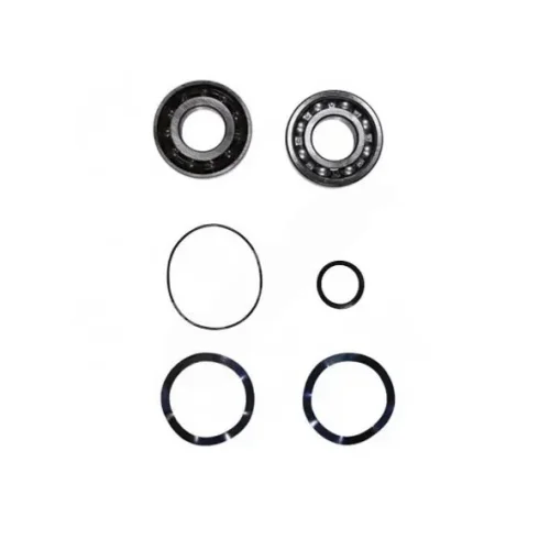 Фото комплект подшипников для seg, frame b/c, grundfos 96690710 Grundfos